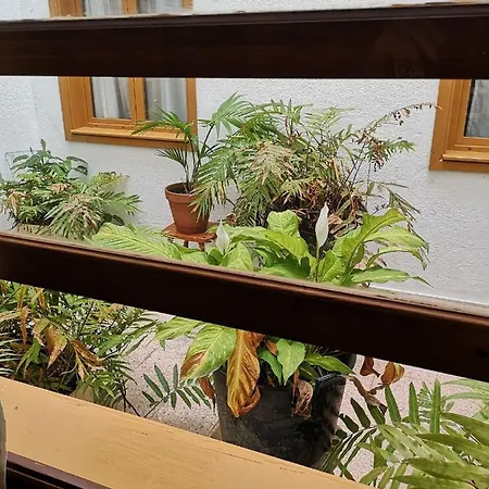 La Fuente *